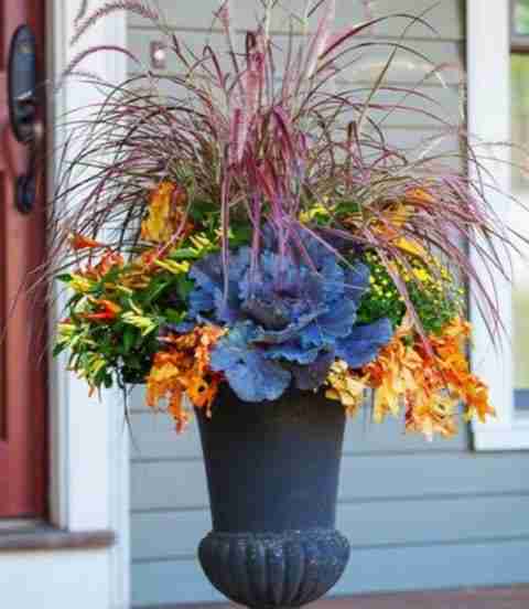 Fall container 2